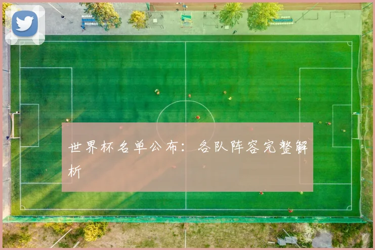 世界杯名单公布：各队阵容完整解析