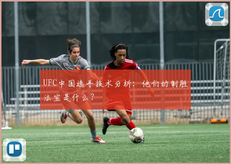 UFC中国选手技术分析：他们的制胜法宝是什么？