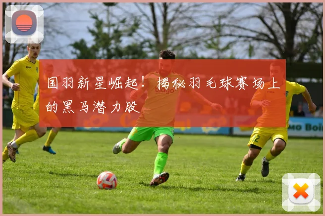 国羽新星崛起！揭秘羽毛球赛场上的黑马潜力股