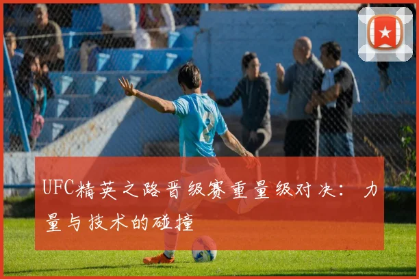 UFC精英之路晋级赛重量级对决：力量与技术的碰撞