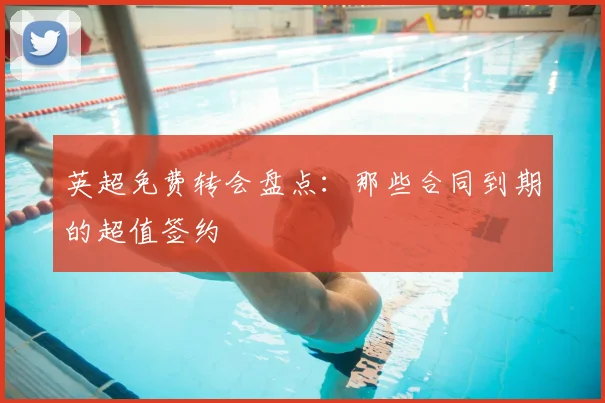 英超免费转会盘点：那些合同到期的超值签约