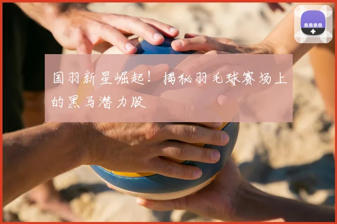 国羽新星崛起！揭秘羽毛球赛场上的黑马潜力股