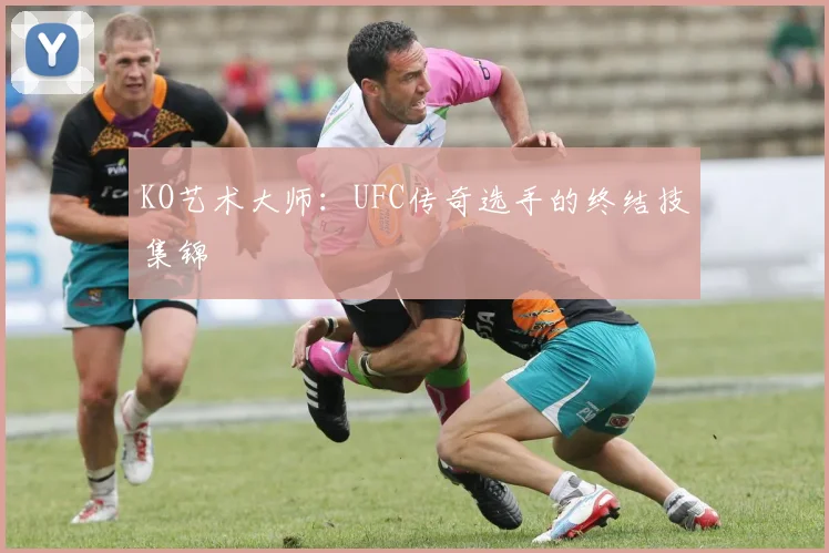 KO艺术大师:UFC传奇选手的终结技集锦