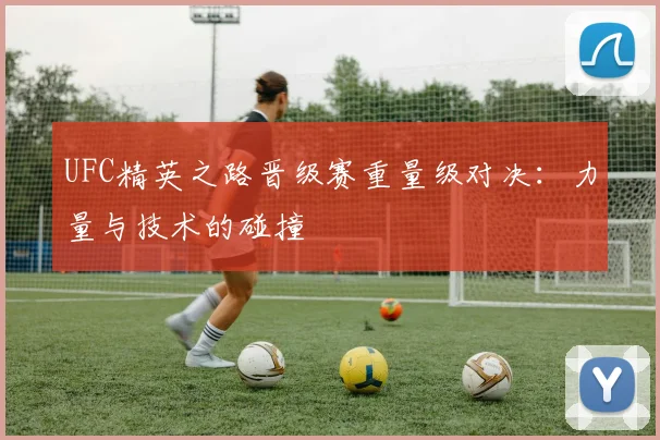 UFC精英之路晋级赛重量级对决：力量与技术的碰撞