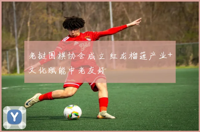 老挝围棋协会成立 红龙榴莲产业+文化赋能中老友好