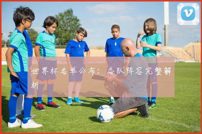 世界杯名单公布：各队阵容完整解析