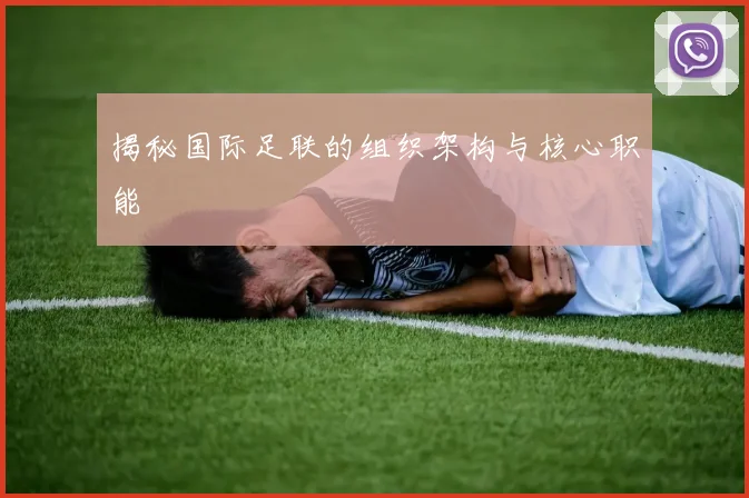 揭秘国际足联的组织架构与核心职能