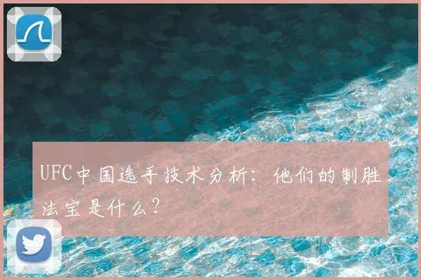 UFC中国选手技术分析：他们的制胜法宝是什么？
