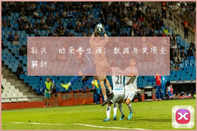 孙兴慜的荣誉生涯：数据与奖项全解析